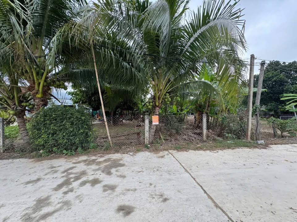 Bán Đất Vườn 324m² Ninh Lộc, Khánh Hòa - Sổ Hồng Riêng, Giá Đầu Tư