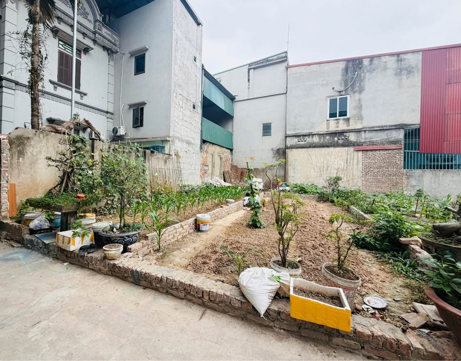 Đất Phù Chẩn Từ Sơn 40m² - Đường Ô Tô, Giá Hơn 1 Tỷ, Sổ Đỏ Chính Chủ