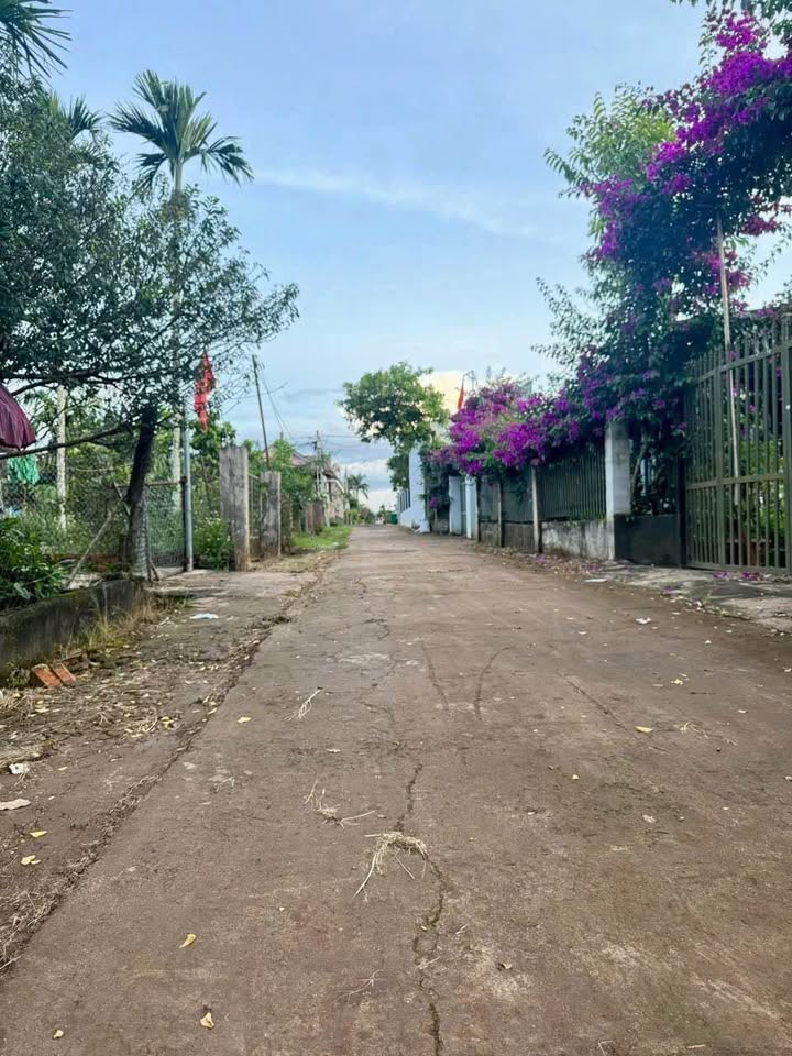 Đất nền Tân Lập Buôn Ma Thuột 340m² 1.4 tỷ - Thổ cư 100%