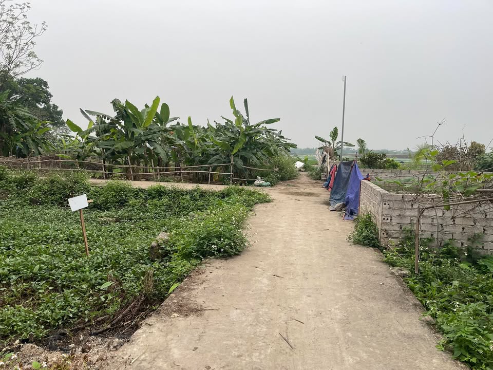 Đất nền Thạch Thất 105m² - Lô góc, sổ hồng, giá đầu tư 3xtr/m²