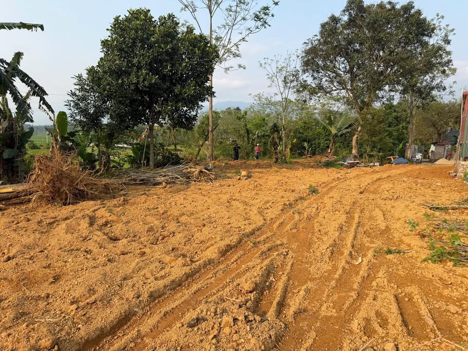 Đất Vĩnh Phúc 623m² - View Đồng Thoáng Mát, Giá Chỉ Hơn 1 Triệu/m²