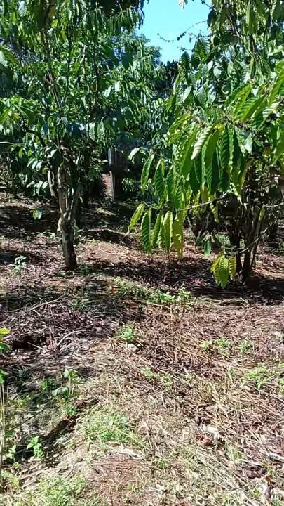 Bán Gấp Đất Nền 1692m² Xã Hòa Ninh, Di Linh - Giá Đầu Tư 2.67 Tỷ