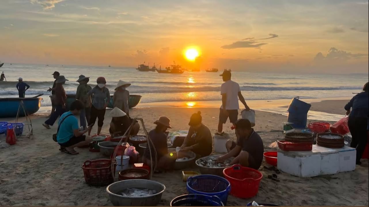 Đất Biển Hội An 1500m² - Sổ Hồng Sẵn, Giá Chỉ 6 Triệu/m²