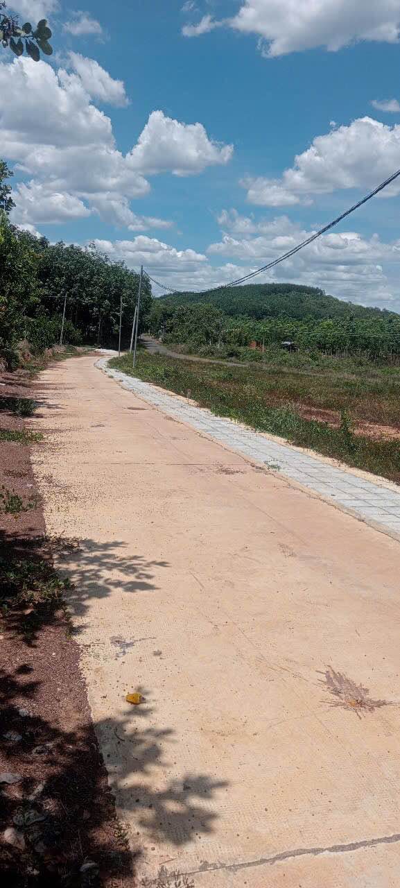 Đất Nền Đồng Phú Bình Phước - 165m² Thổ Cư, Nở Hậu, Giá Từ 2xx Triệu