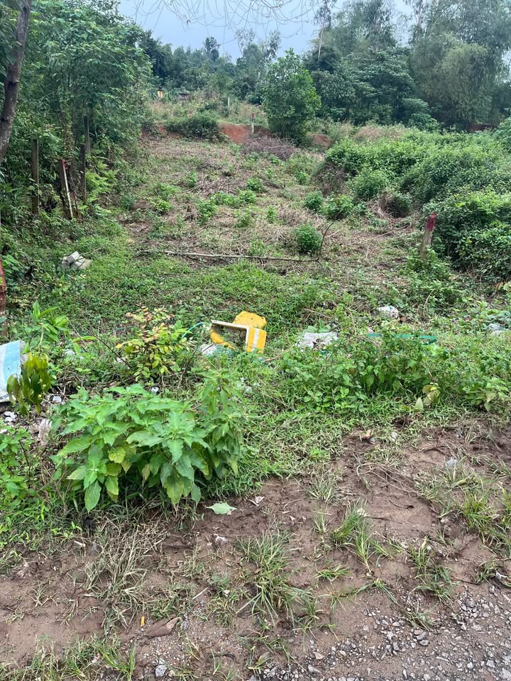 Đất Mặt Tiền Đường Nhựa Cảng Cá Tam Phú, Tam Kỳ - 143m² Giá Tốt