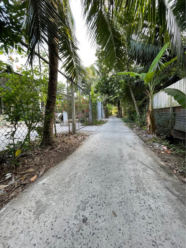 Bán Đất Vườn 500m² Xã Giao Long, Bến Tre - Giá 950 Triệu