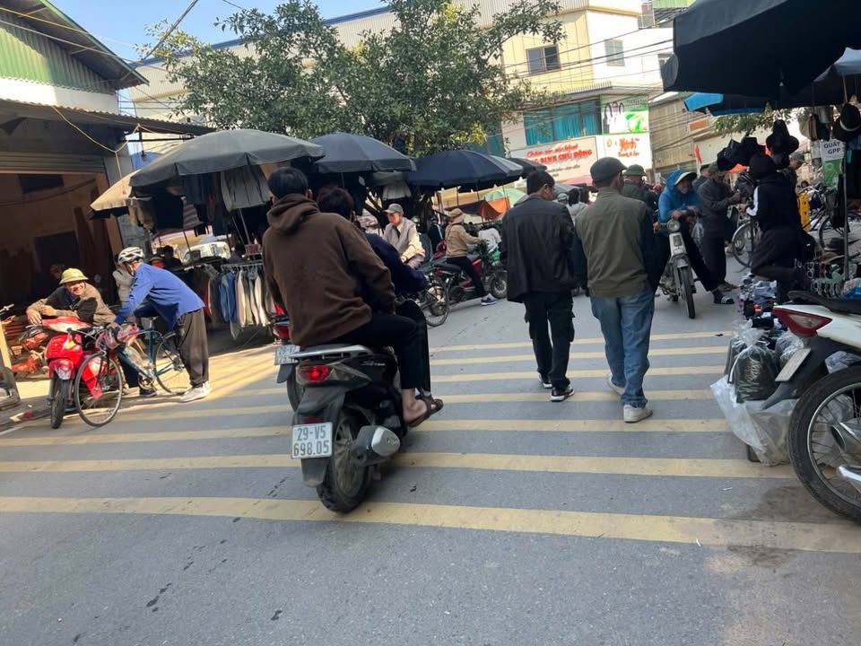 Đất Kinh Doanh Mặt Tiền Đường Hàng Cây, Thạch Thất - 100m² - Giá Tốt