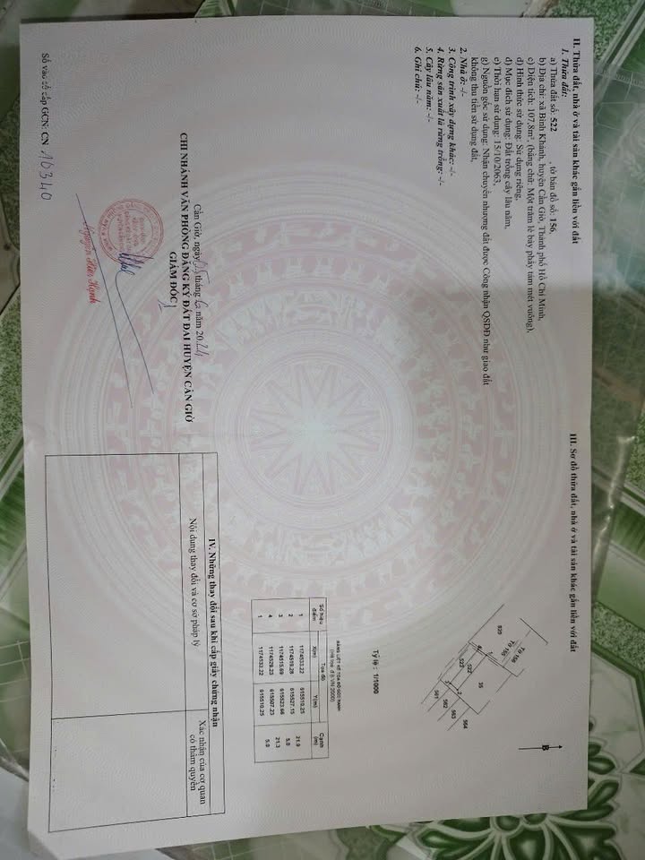 Đất Nền Cần Giờ 110m² Sổ Hồng Riêng - Mặt Tiền Đường Bê Tông