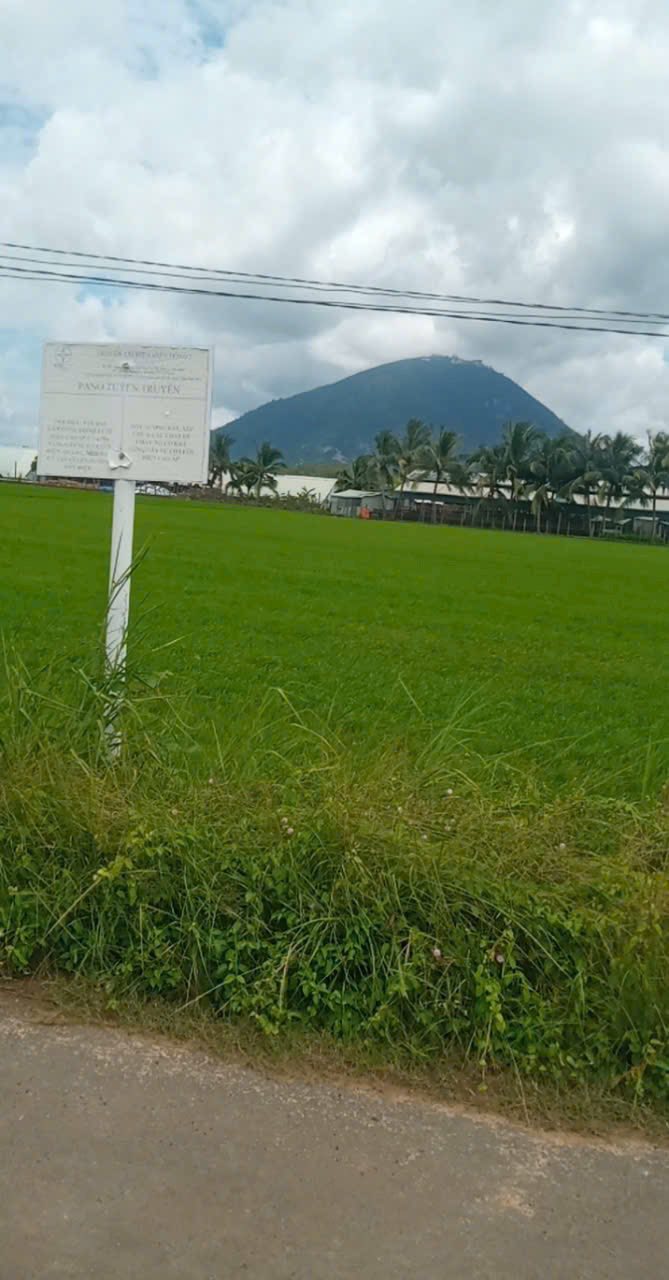 Bán Gấp Đất Vườn 5000m² TP Tây Ninh - Chỉ 550 Triệu