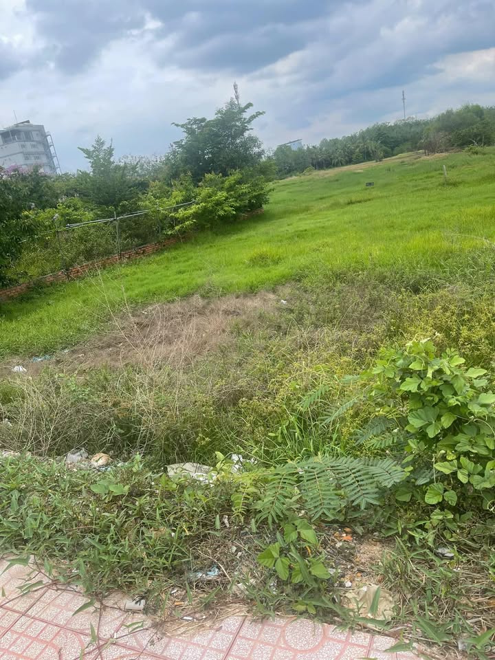 Bán đất mặt tiền Nguyễn Chí Thanh Nối Dài, Tây Ninh – 3600m² View Núi