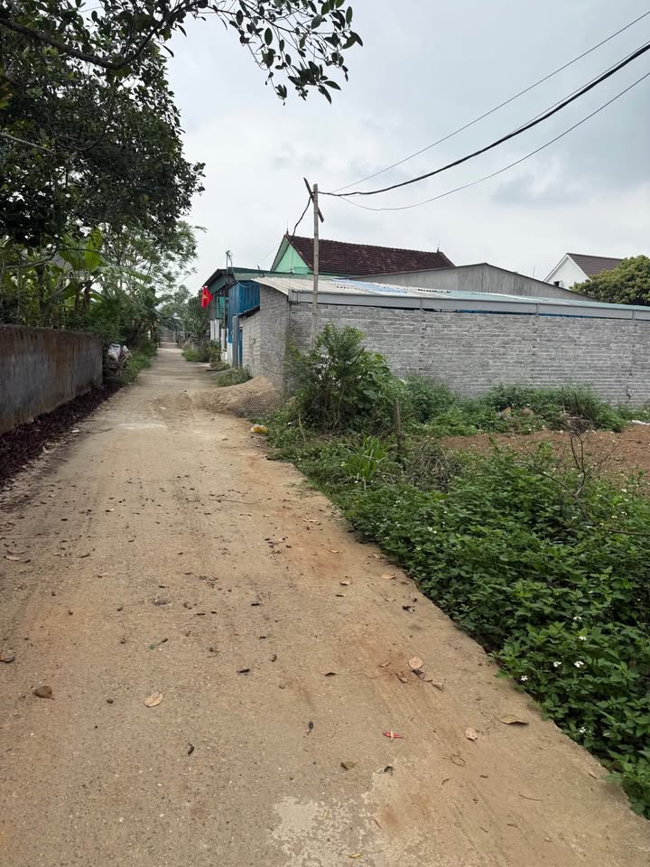 Đất nền Nghĩa Đàn 171m² - Sổ đỏ sẵn sàng, gần trường học & công an