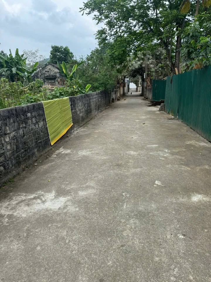 Đất Lô Góc 2 Mặt Tiền 300m² Trung Tâm Thái Hòa - Giá 1 Tỷ XXX