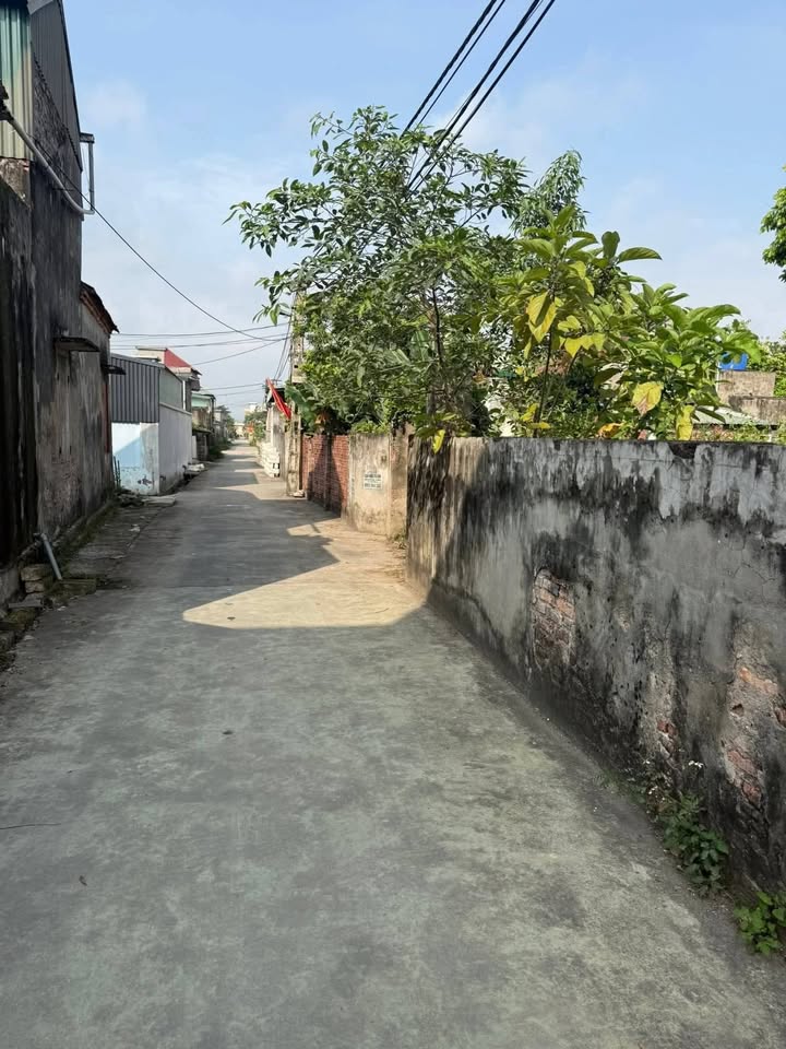 Đất nền 157m² Đường An - Hải Phòng, SHR, Ô tô vào đất, Giá tốt