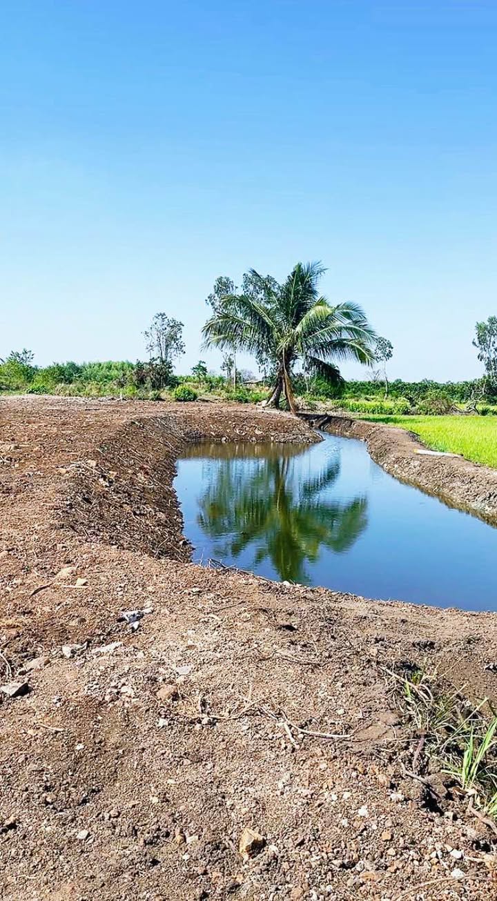 Bán Đất Vườn 1220m² BRVT - View Ruộng Đồng Giá Chỉ 1.35 Tỷ