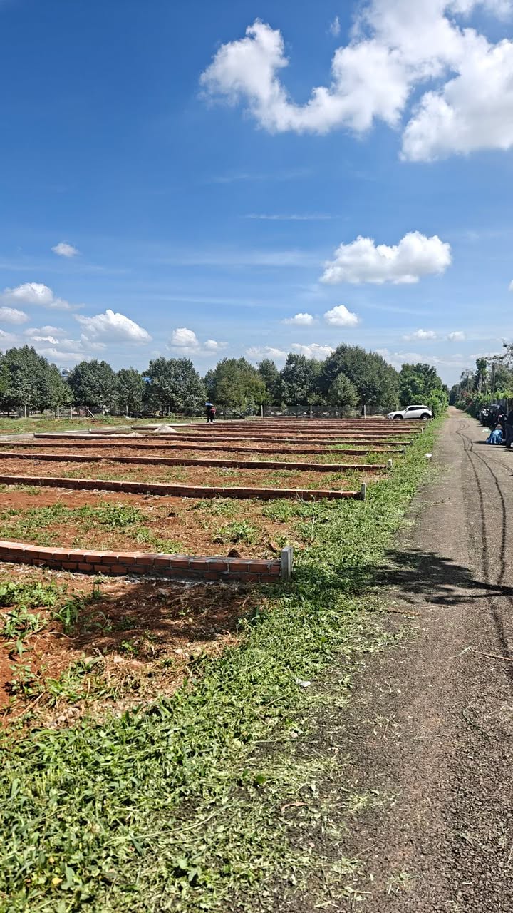 Đất Nền Long Khánh 100m² Mặt Tiền Nhựa, Sổ Riêng - Giá 860 Triệu