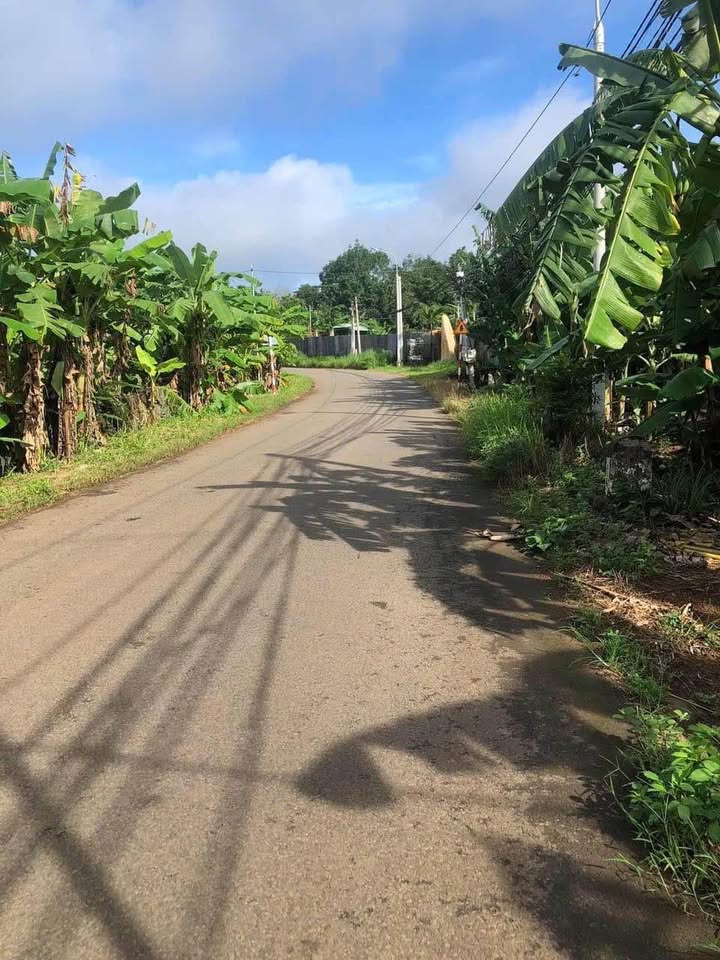 Bán Đất Đồi Đồng Nai 12800m² - Sổ Đỏ Rõ Ràng, Giá Đầu Tư 3.2 Tỷ