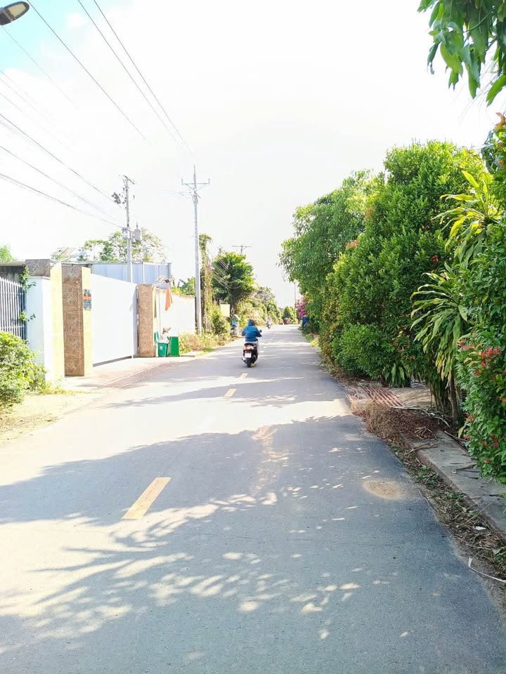 Đất Mặt Tiền Bình Lợi Vĩnh Cửu - 240m² Sổ Riêng - Giá 1.8 Tỷ