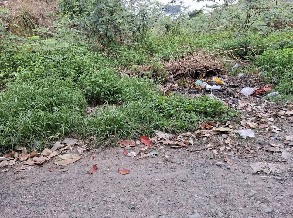 Đất nền Đức Hòa 145m² Sổ hồng riêng - Sẵn sàng xây nhà