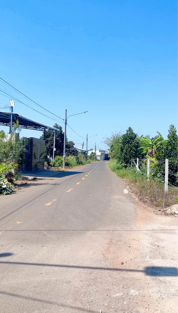 Đất Lô Góc 2 Mặt Tiền 168m² Tại Đất Đỏ BRVT - Chỉ 890 Triệu