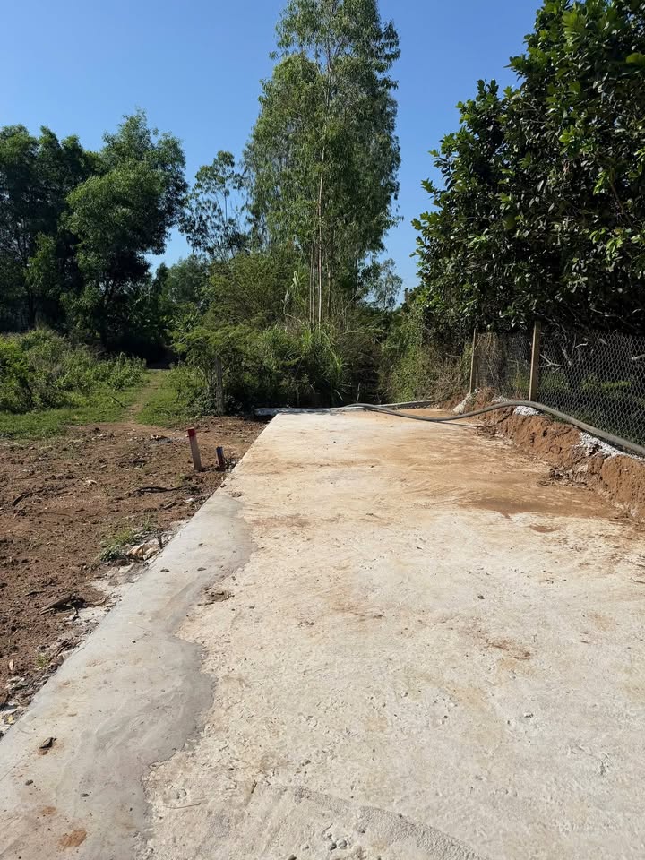 Đất thổ cư 160m² Xuân Lộc, Đồng Nai - Sổ sẵn, 599 triệu