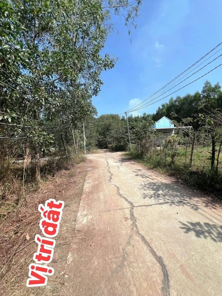 Đất Nền Xuân Hòa, Đồng Nai - 118m² - Giá 385 Triệu - Sổ Đỏ Sẵn Sàng