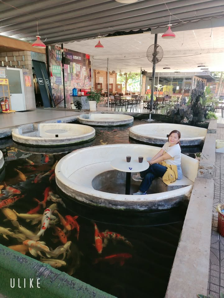 Nhà Xã Xuân Hiệp, Đồng Nai - 100m² Thổ Cư, Giá 20 Tỷ - Vị Trí Đắc Địa