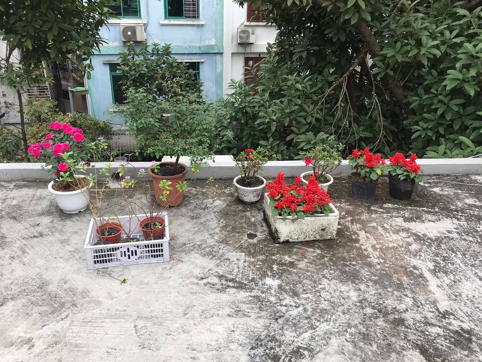 Cho thuê phòng Cầu Giấy 3.8tr/tháng - Gần ĐH Ngoại Thương, Giao Thông Vận Tải