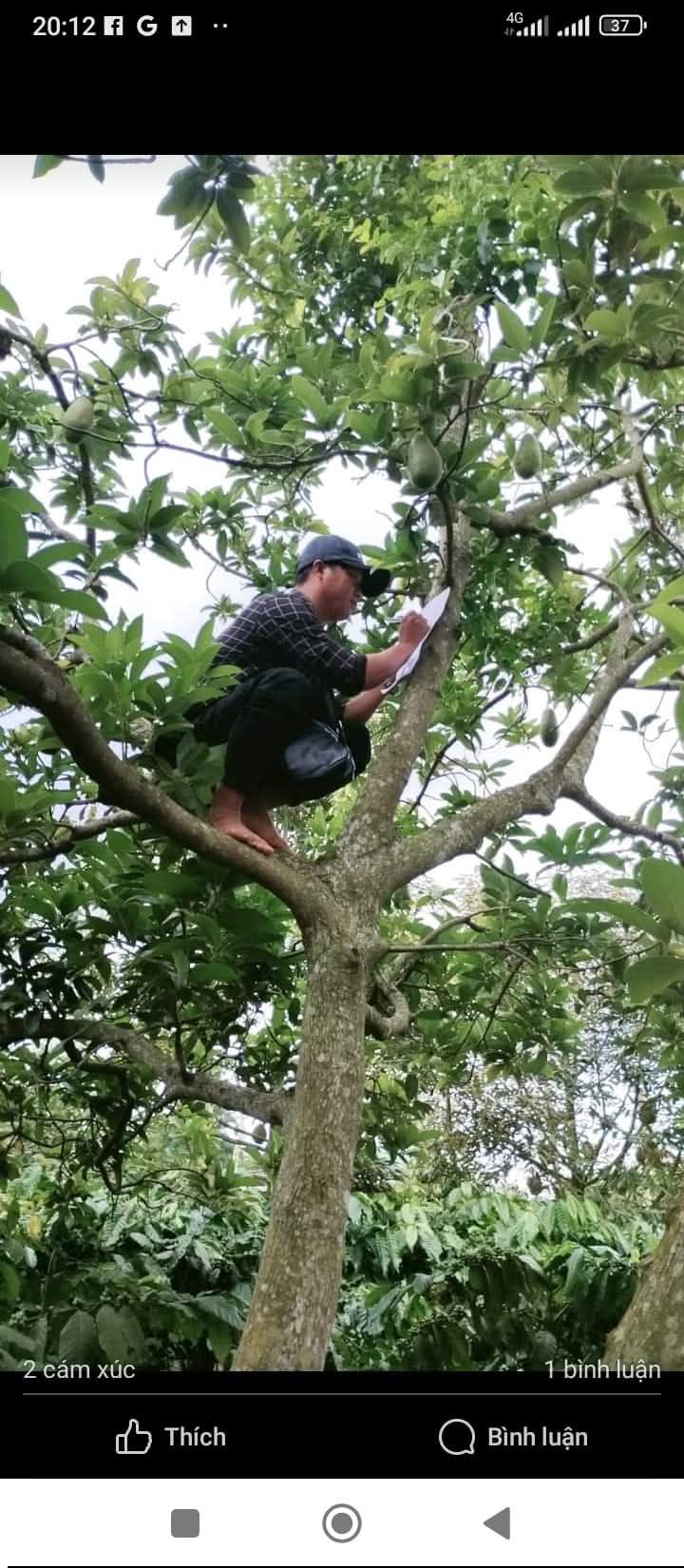 Bán Gấp Đất Rẫy 9.6 Sào Đăk Nông - Giá 520 Triệu, Cơ Hội Đầu Tư!