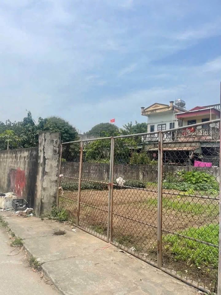 Đất Mặt Đường Trục Thôn Phú Xuân (Trần Hưng Đạo) 56m² - Kinh Doanh Đắc Lợi