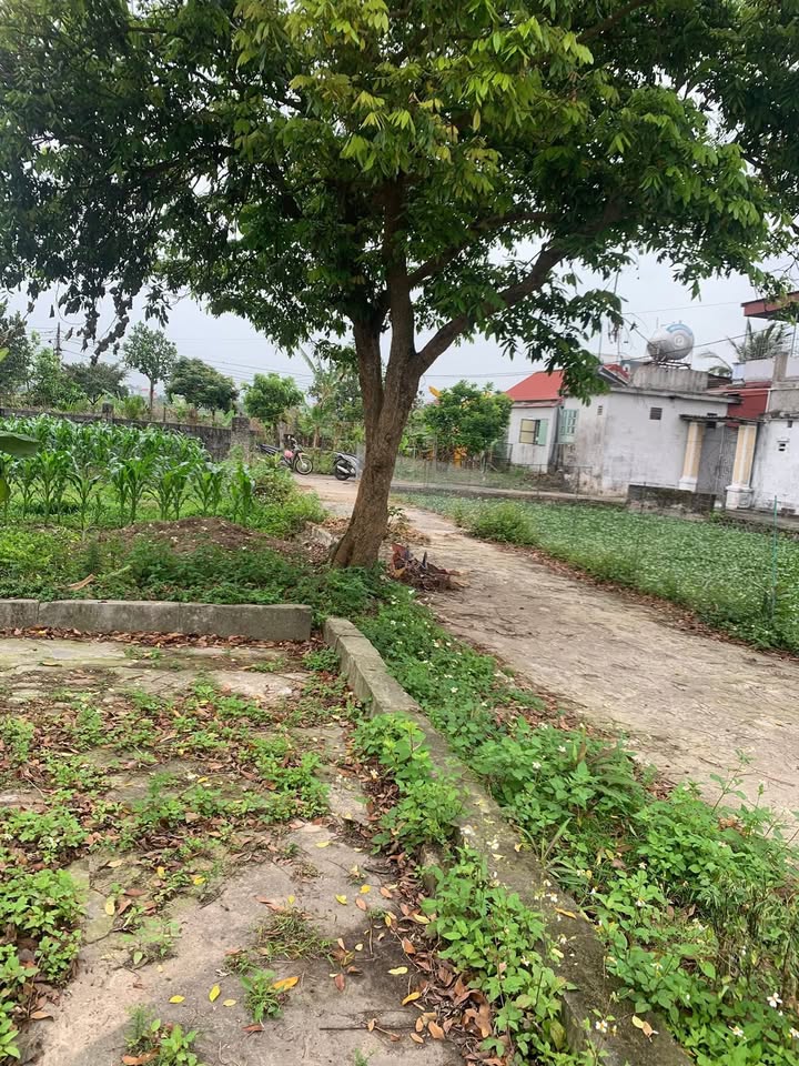 Đất Nền Thái Thụy, Thái Bình 108m² - Vị Trí Đẹp, Giá Hời