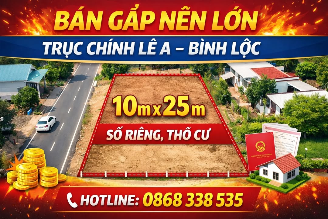 Đất Nền 250m² Trục Chính Lê A, Long Khánh - Sổ Riêng, Giá Tốt Đầu Tư