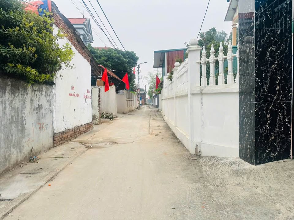 Bán Đất Thổ Cư Đạo Đức, Bình Xuyên 80m² - Giá Tốt Cho Công Nhân