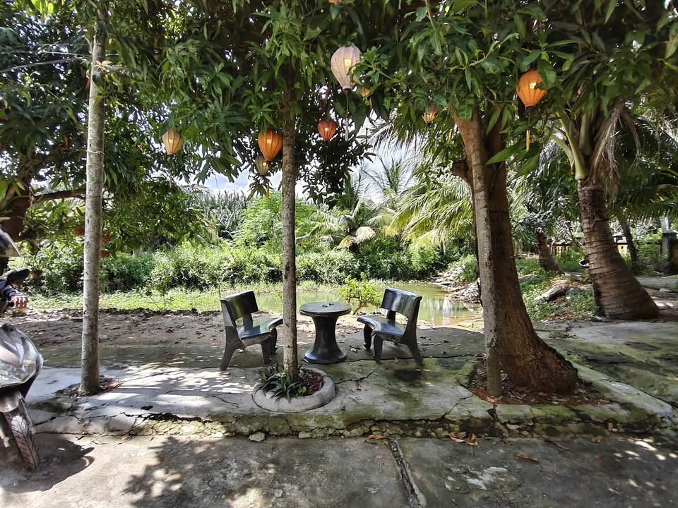 Homestay Hội An 84m² - Dòng tiền 16tr/tháng, View Sông Dừa