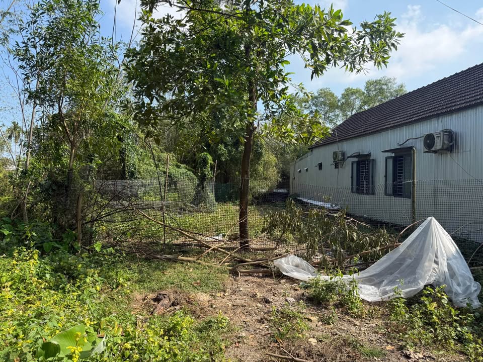 Đất Mặt Tiền Tỉnh Lộ 10A (31m) 218m² - Giá Đầu Tư 2.2 Tỷ