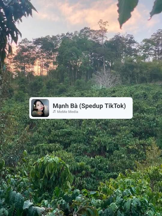 Đất vườn Đam Rông 1.35 tỷ 1.2ha - Nghỉ dưỡng lý tưởng