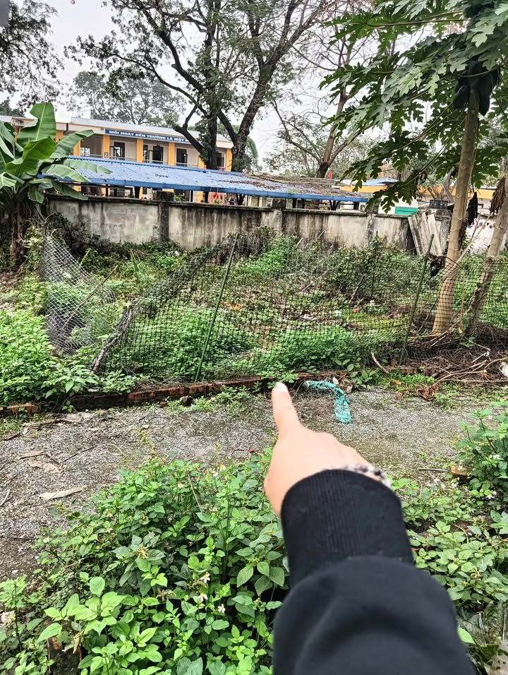 Đất nền Thanh Oai 42.1m² - Giá đầu tư 1 tỷ, gần trường học