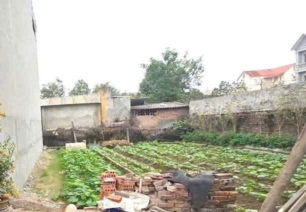 Bán đất Minh Khai, Bắc Từ Liêm 50.5m² - Ô tô đỗ cửa, giá 3.5 tỷ