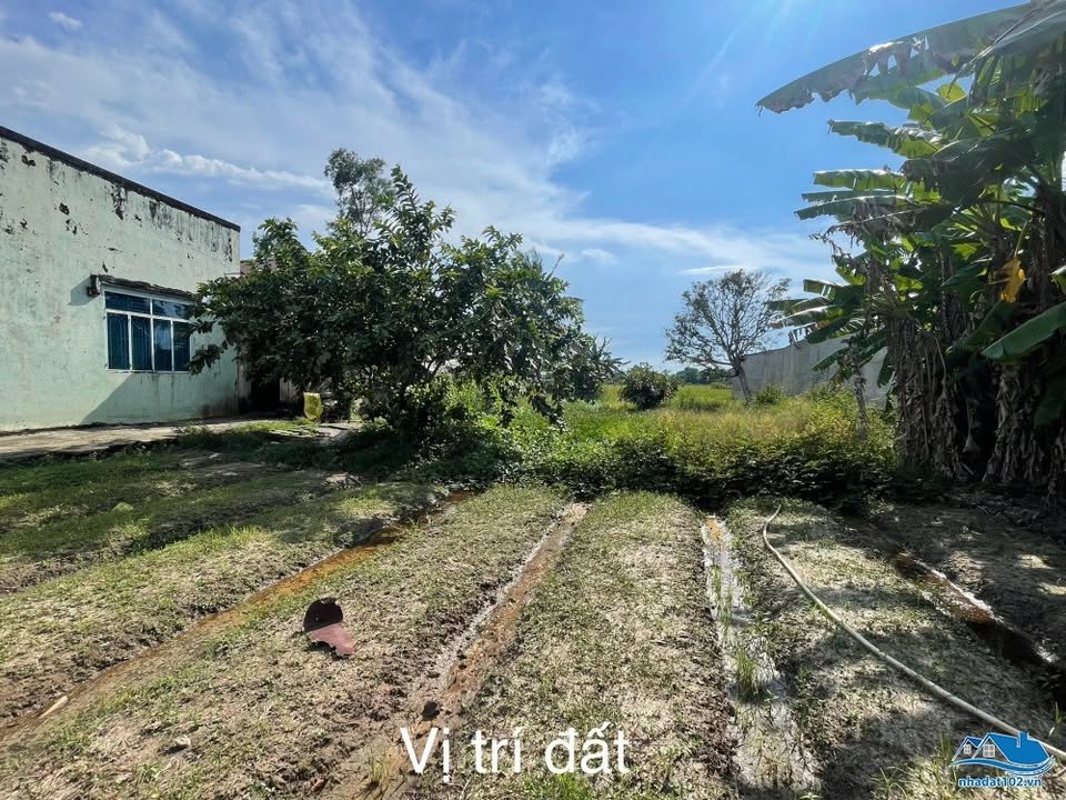 Bán Gấp 11.811m2 Đất Vườn, Vị Trí Đẹp, An Giang - Giá Đầu Tư