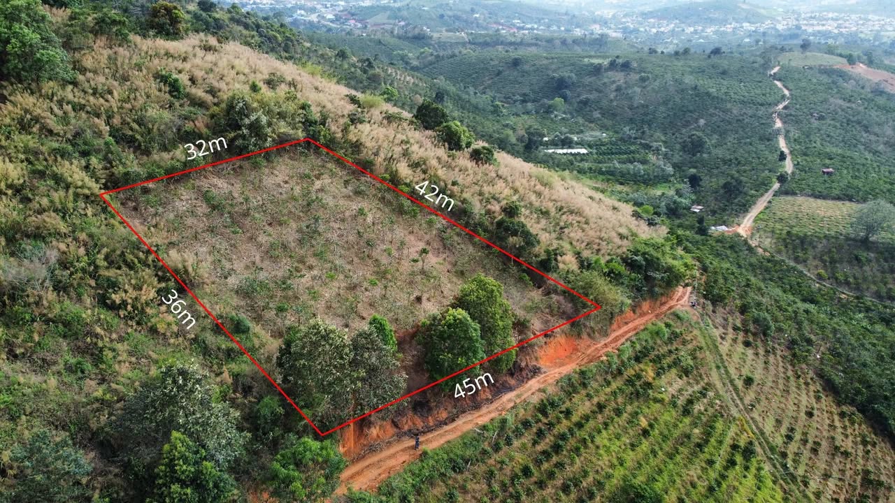 Đất nền Gung Ré Di Linh 1300m² - Sổ sẵn giá 450 triệu