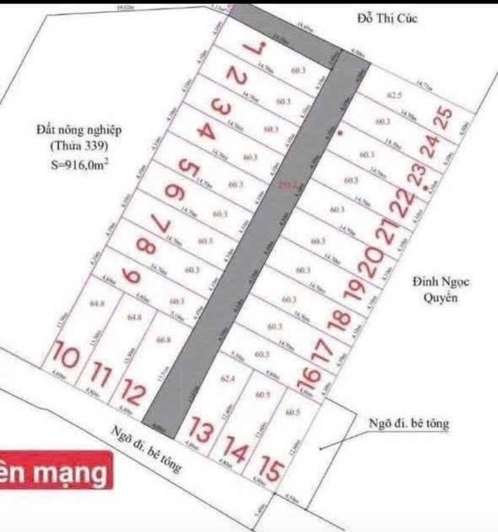 Đất nền 60.3m² Bạch Mai, An Dương - Vị trí đắc địa, giá đầu tư 1.x tỷ