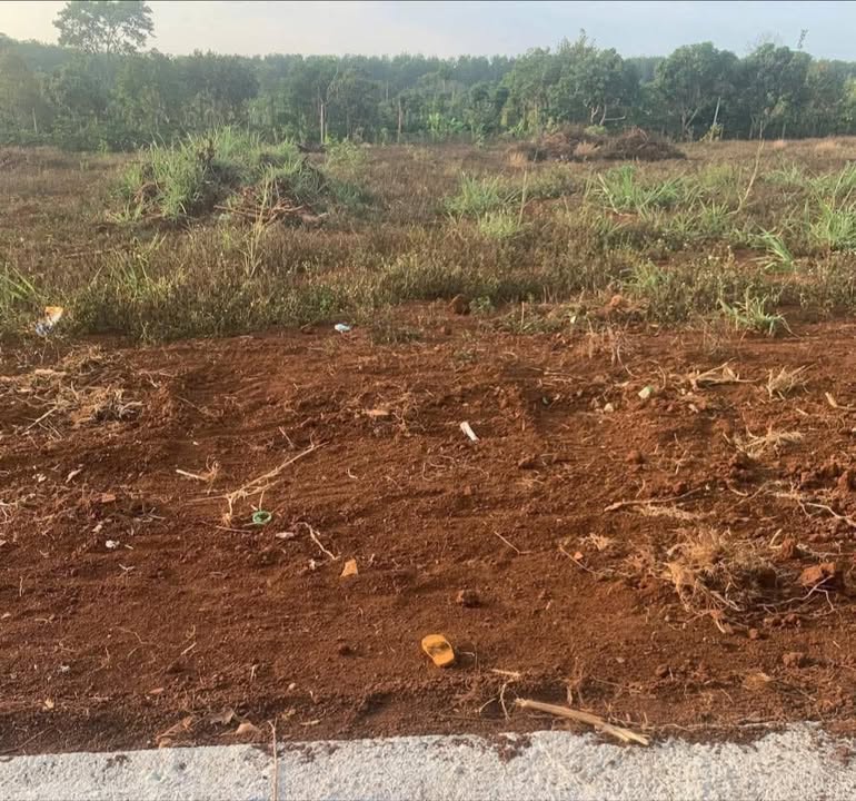 Đất nền Buôn Choáh Dliyang, Đắk Lắk - 525m² thổ cư, 199 triệu, gần Tỉnh lộ 15