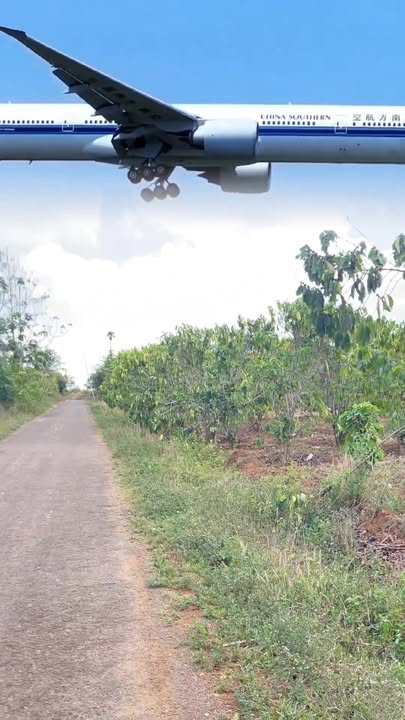 Đất Vườn Gia Lai 10.000m² - Kinh doanh & Phân lô, Sổ Hồng