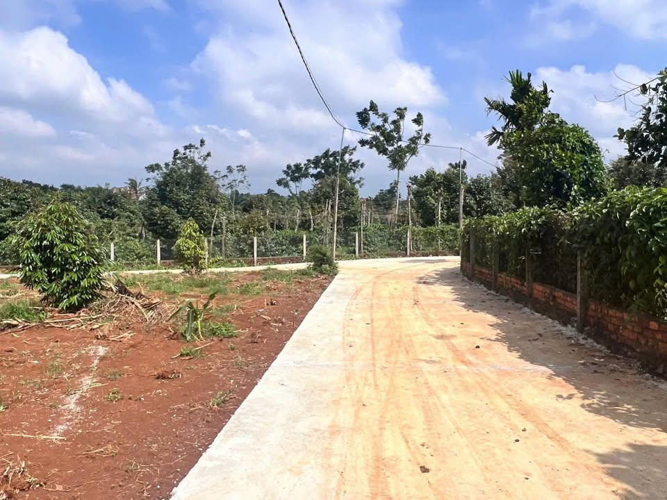 Đất nền Cư Bao, Đắk Lắk - Sổ riêng 130m² giá từ 2xx triệu
