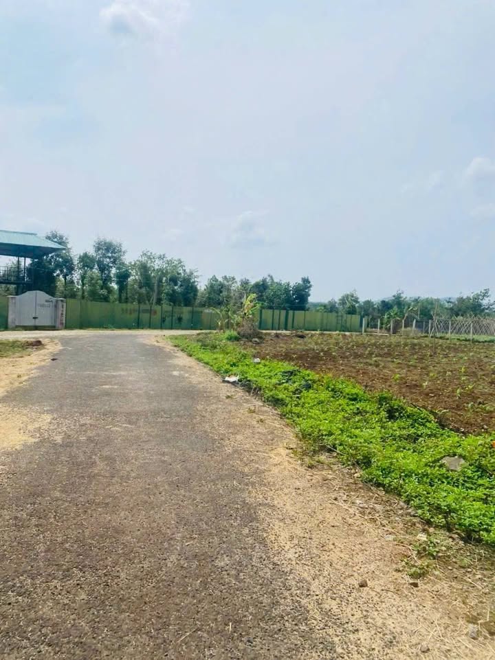 Đất Vàng Buôn Ma Thuột - Lô Góc Kinh Doanh Hẻm C1 Y Wang 250m² Giá Tốt