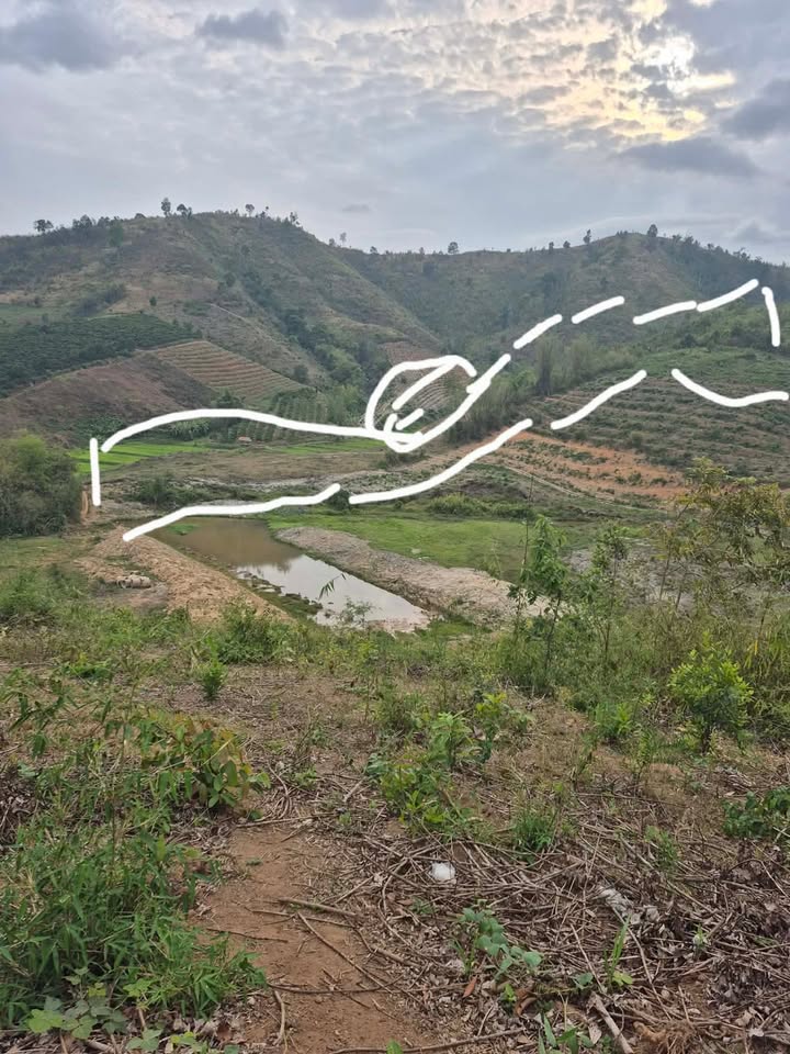 Bán gấp 30.000m² đất đỏ triền đồi Kon Tum - Giá chỉ từ 1 tỷ