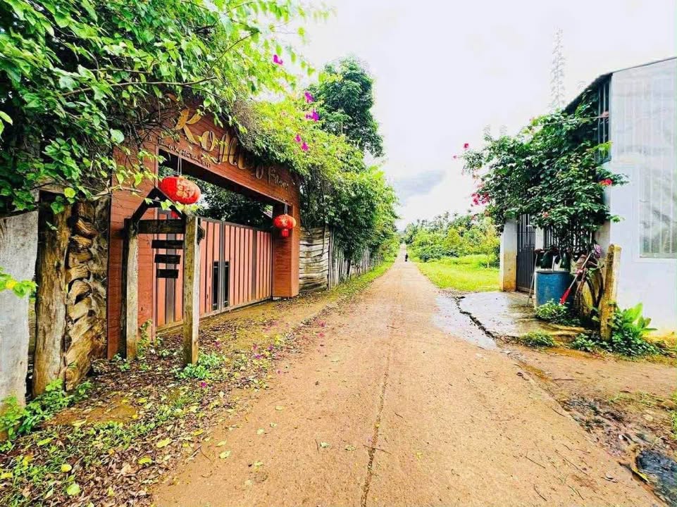 Đất nền Buôn Đôn 255m² - Sổ đỏ chính chủ, đường 2 ô tô