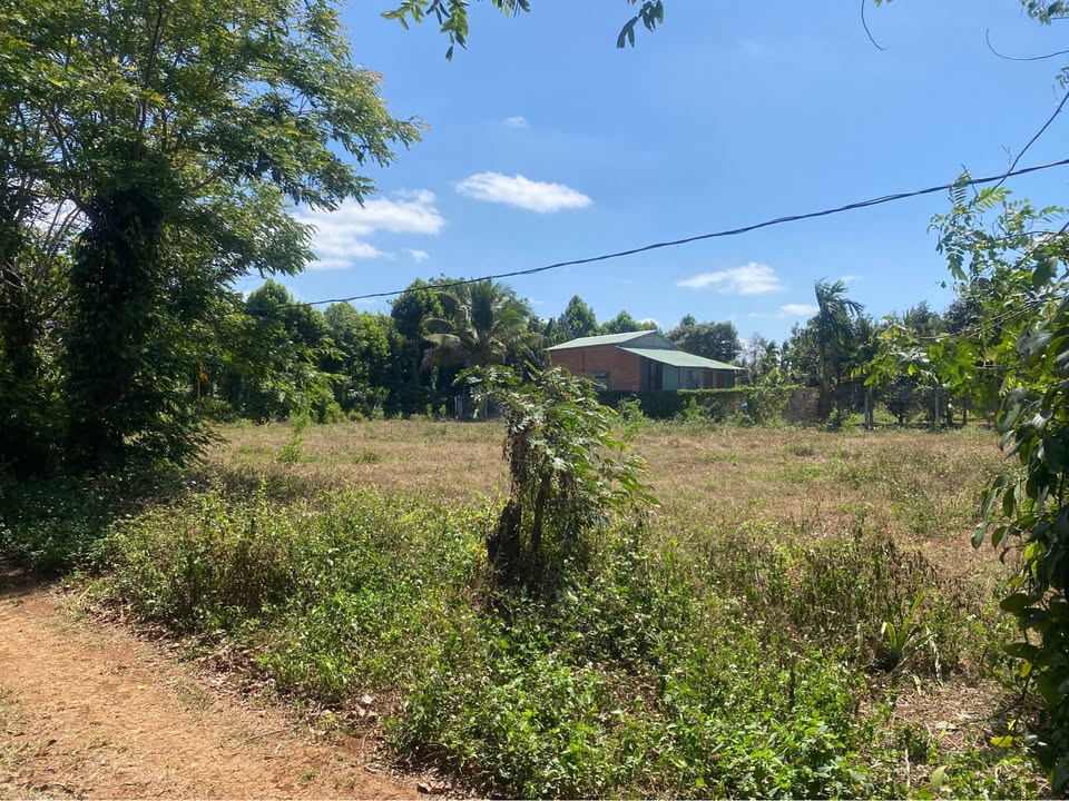 Đất Nền Hẻm Cấp 1 Liên Xã Eakao, Buôn Ma Thuột - 120m² Giá Tốt