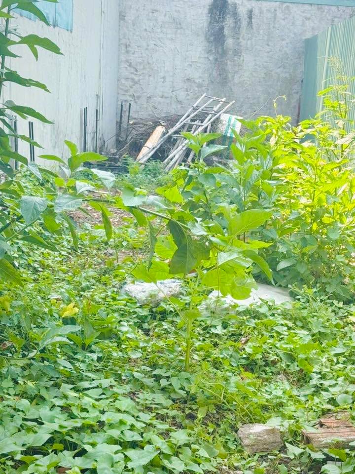 Bán Đất Hóc Môn 59.5m² - Gần Chợ Đại Hải, 2.25 Tỷ, Sẵn GPXD