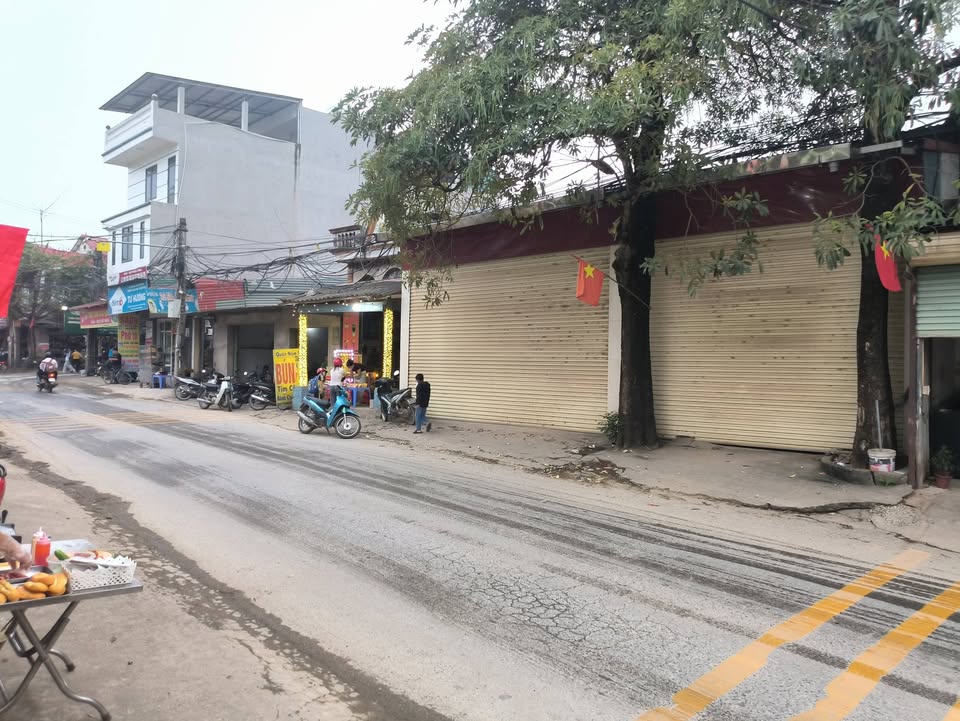 Cho thuê mặt bằng kinh doanh 250m² mặt tiền 15m Tỉnh lộ 302 Vĩnh Phúc