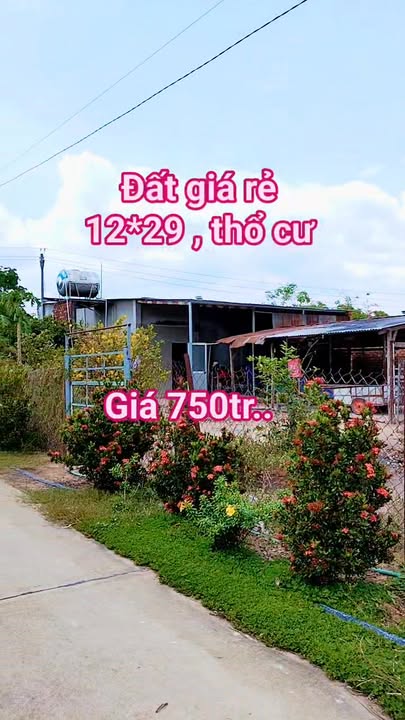 Đất Nền Định Quán 348m² - Sổ Sẵn 750 Triệu/Lô - Đầu Tư Hời